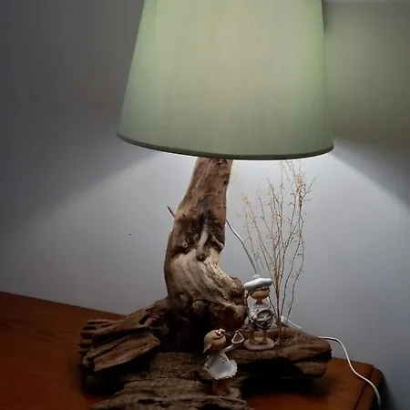 Les Sauvagines Nyaraló *